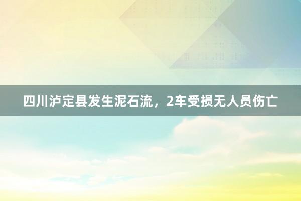 四川泸定县发生泥石流，2车受损无人员伤亡