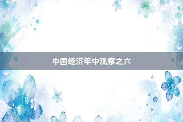 中国经济年中观察之六