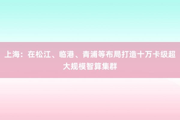 上海：在松江、临港、青浦等布局打造十万卡级超大规模智算集群