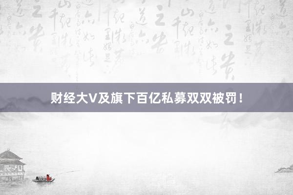 财经大V及旗下百亿私募双双被罚!