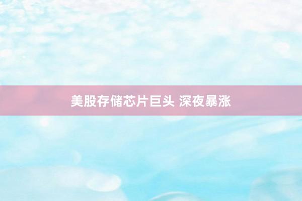 美股存储芯片巨头 深夜暴涨