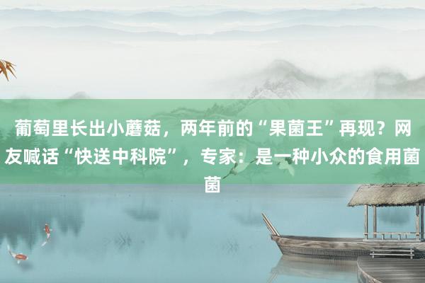 葡萄里长出小蘑菇，两年前的“果菌王”再现？网友喊话“快送中科院”，专家：是一种小众的食用菌