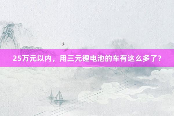 25万元以内，用三元锂电池的车有这么多了？
