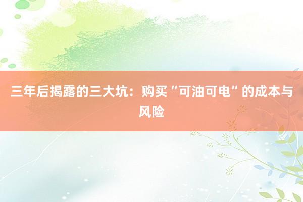 三年后揭露的三大坑：购买“可油可电”的成本与风险