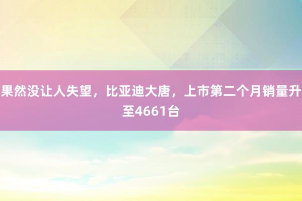果然没让人失望，比亚迪大唐，上市第二个月销量升至4661台