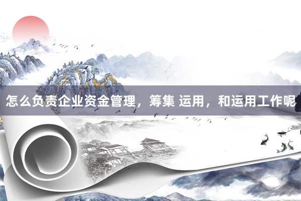 怎么负责企业资金管理，筹集 运用，和运用工作呢