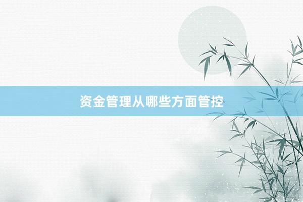 资金管理从哪些方面管控