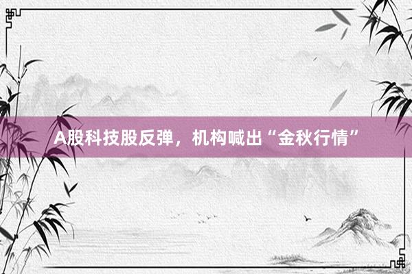 A股科技股反弹，机构喊出“金秋行情”