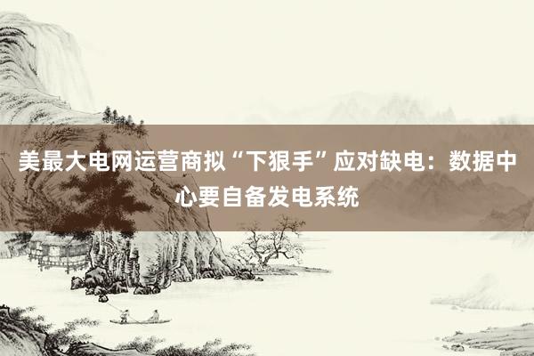 美最大电网运营商拟“下狠手”应对缺电：数据中心要自备发电系统