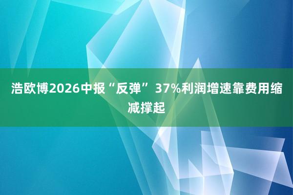 浩欧博2026中报“反弹” 37%利润增速靠费用缩减撑起