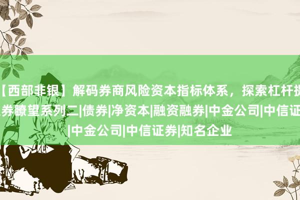 【西部非银】解码券商风险资本指标体系，探索杠杆提升路径——证券瞭望系列二|债券|净资本|融资融券|中金公司|中信证券|知名企业
