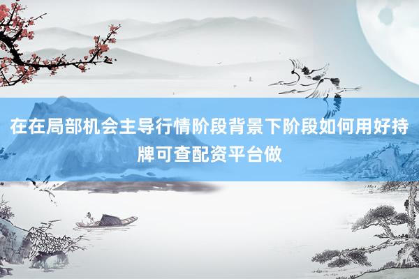 在在局部机会主导行情阶段背景下阶段如何用好持牌可查配资平台做