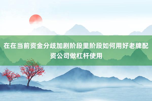 在在当前资金分歧加剧阶段里阶段如何用好老牌配资公司做杠杆使用