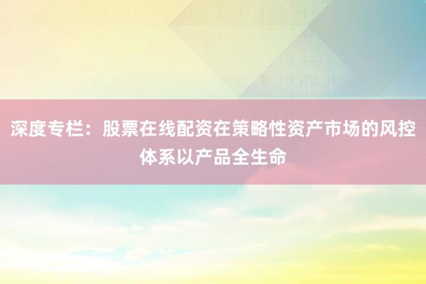深度专栏：股票在线配资在策略性资产市场的风控体系以产品全生命