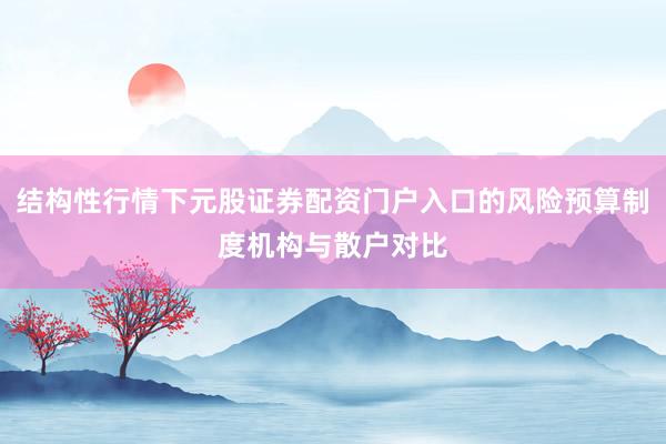 结构性行情下元股证券配资门户入口的风险预算制度机构与散户对比