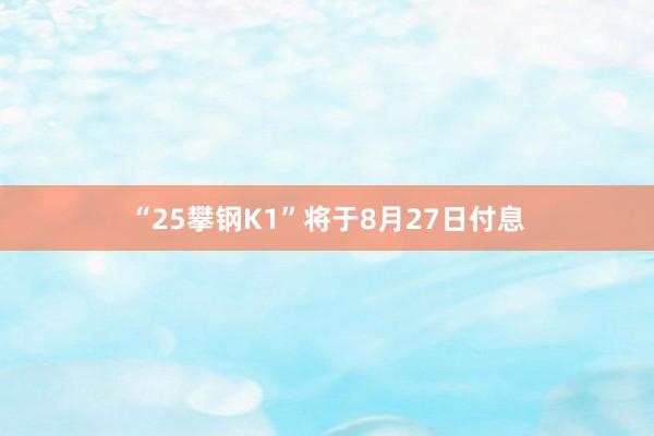 “25攀钢K1”将于8月27日付息