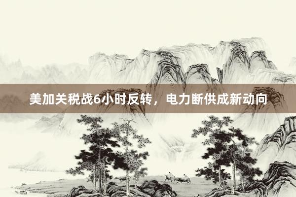 美加关税战6小时反转，电力断供成新动向