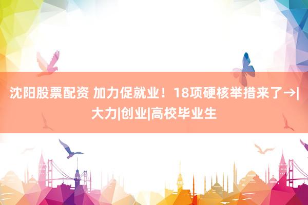 沈阳股票配资 加力促就业！18项硬核举措来了→|大力|创业|高校毕业生