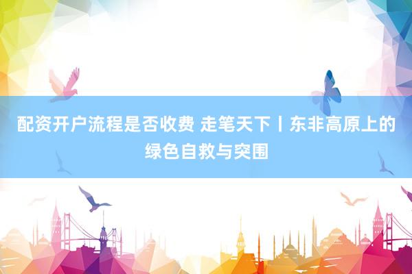 配资开户流程是否收费 走笔天下丨东非高原上的绿色自救与突围