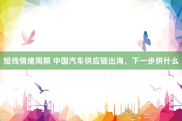 短线情绪周期 中国汽车供应链出海，下一步拼什么