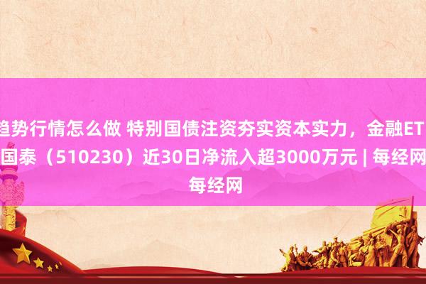趋势行情怎么做 特别国债注资夯实资本实力，金融ETF国泰（510230）近30日净流入超3000万元 | 每经网